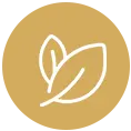 icon1